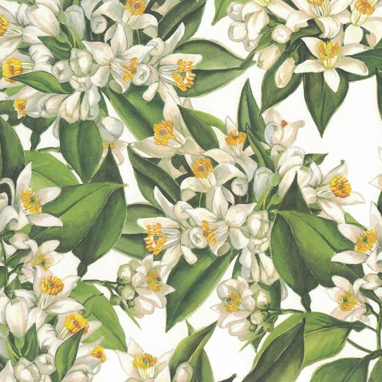 Almond Blossoms Floral Print Italian Paper ~ Tassotti